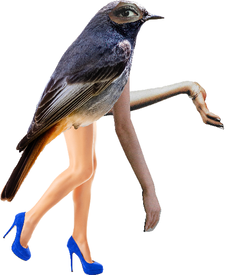 bokeh lights photography