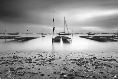 Ostreiculture Bassin Arcachon